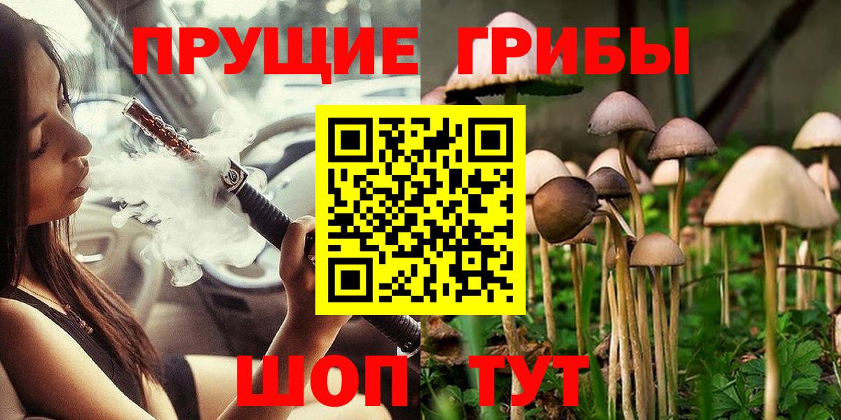 Владивосток  Псилоцибиновые грибы GOLDEN TEACHER  Вход с VPN 