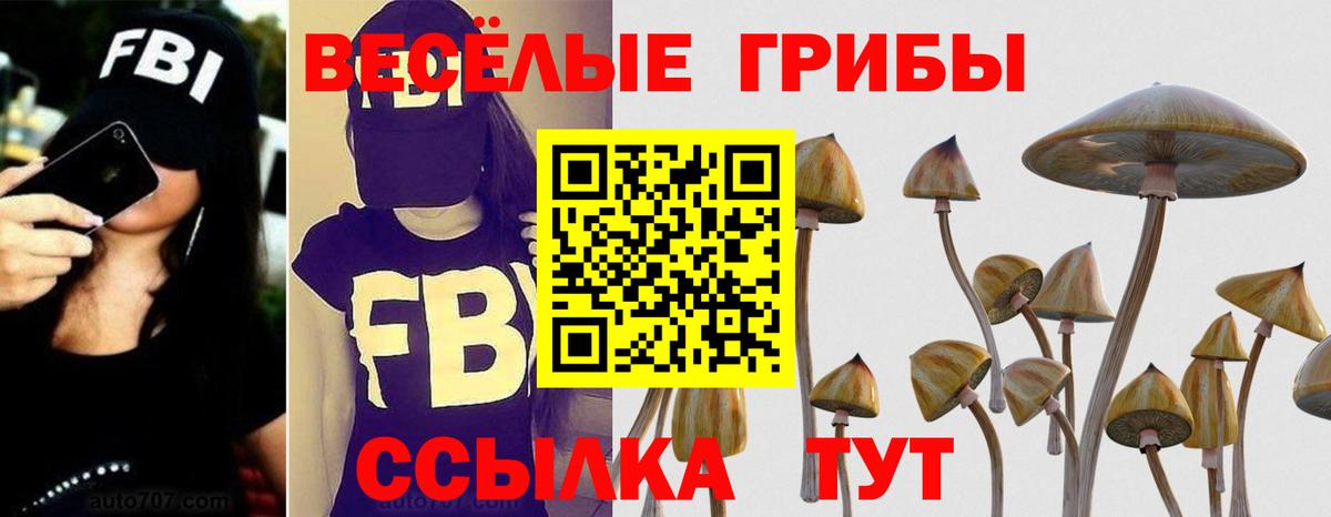 Псилоцибиновые грибы мухоморы Владивосток